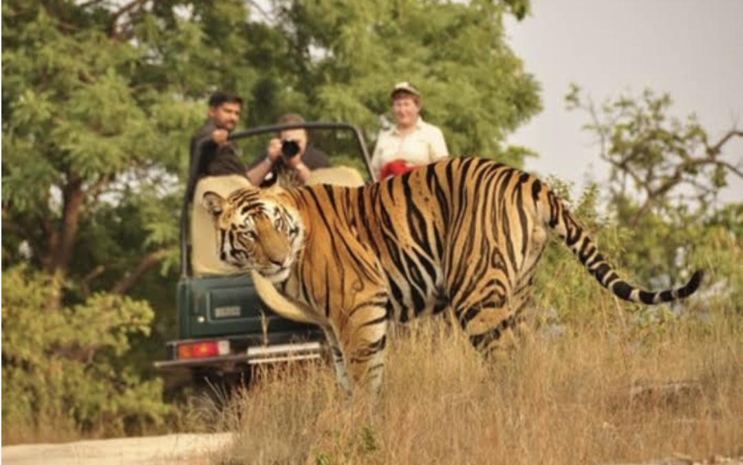 राजाजी टाइगर रिजर्व